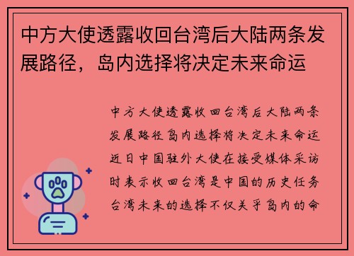 中方大使透露收回台湾后大陆两条发展路径，岛内选择将决定未来命运