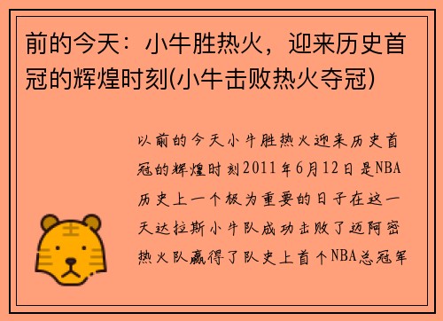 前的今天：小牛胜热火，迎来历史首冠的辉煌时刻(小牛击败热火夺冠)