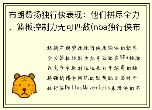 布朗赞扬独行侠表现：他们拼尽全力，篮板控制力无可匹敌(nba独行侠布朗)